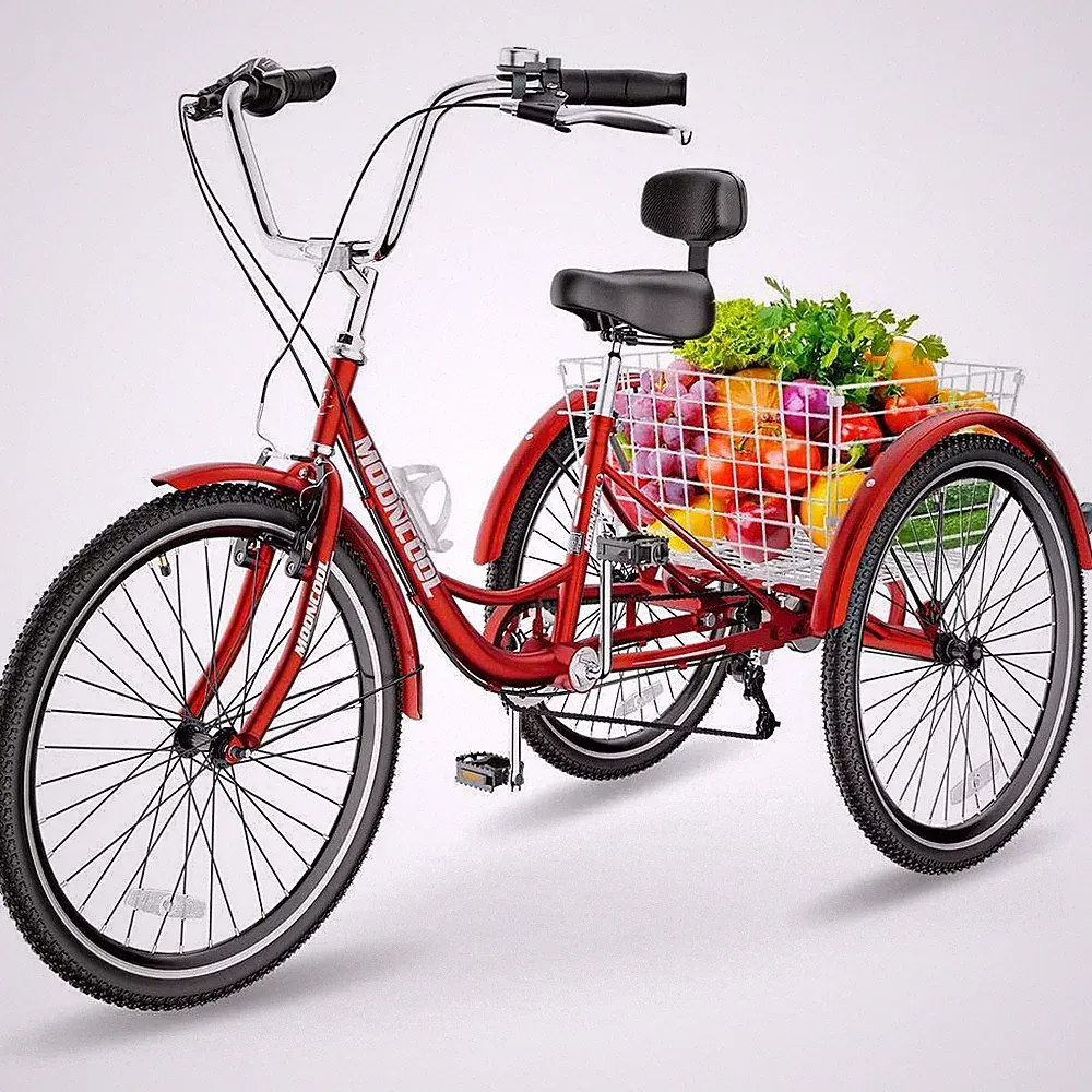 1 Speed Tricycle