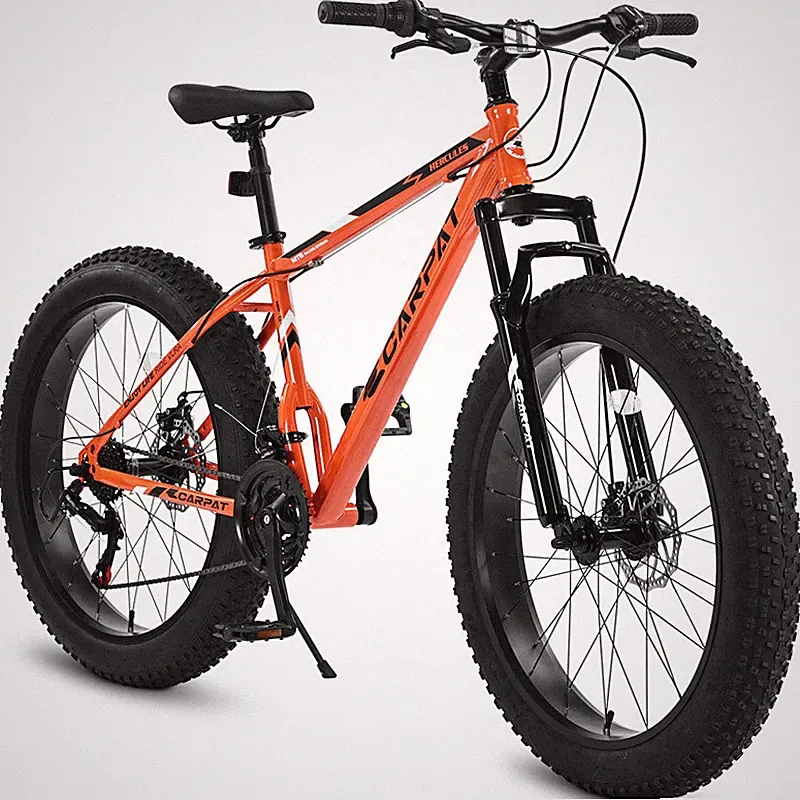 1 Speed Fat Tire Bike