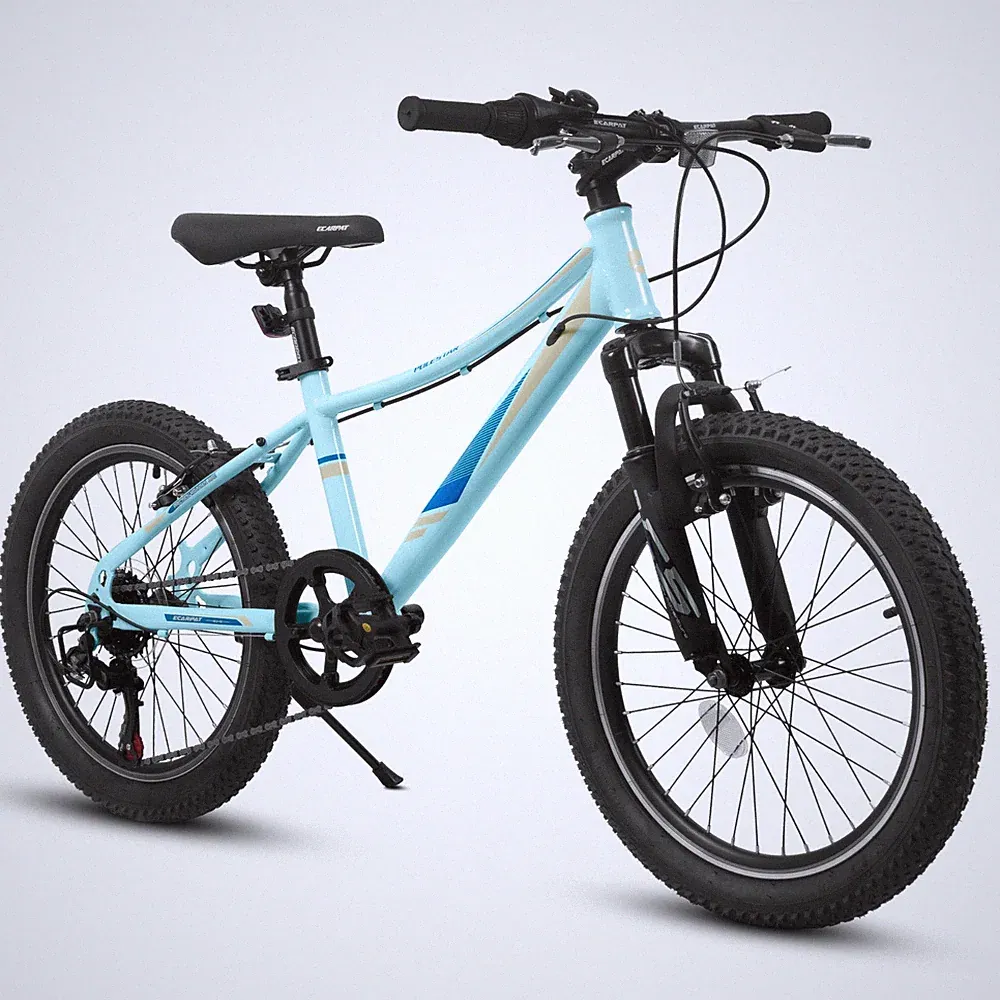 1 Speed Kids Bike