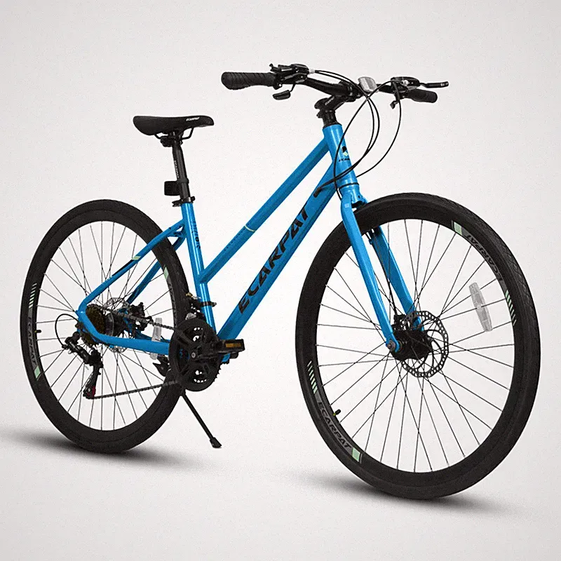 1 Speed Hybrid Bike